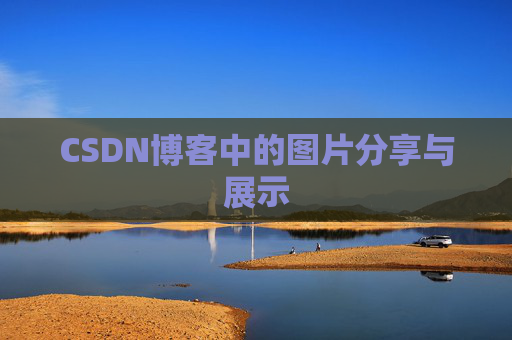 CSDN博客中的图片分享与展示